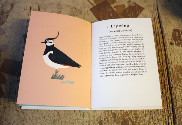 <em>Avocet</em> bookback edition, inside