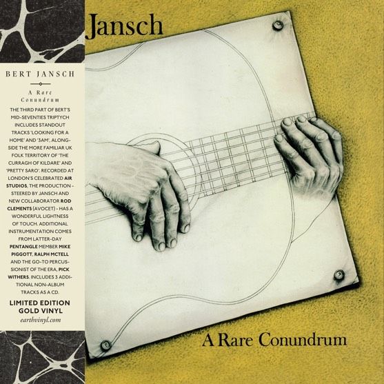 <em>A Rare Conundrum</em> front cover